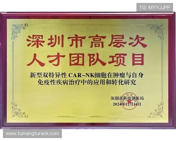 凯发k8国际一触即发，助你轻松掌握最新游戏攻略与玩法技巧